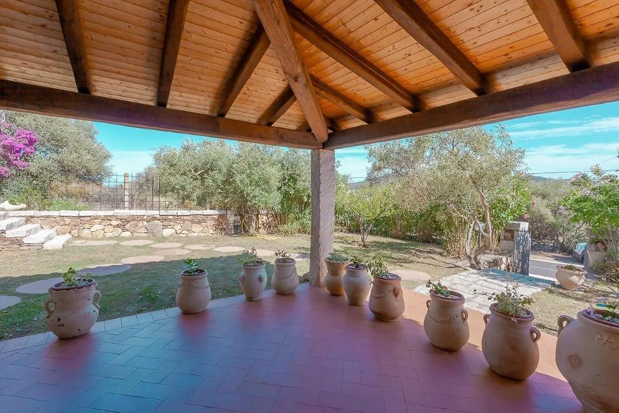 Couette-café B&B Pettirosso Garden San Teodoro